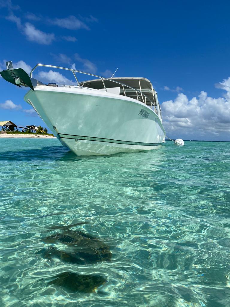 DRIV’BOAT  Service de Location de Bateaux au Gosier en Guadeloupe